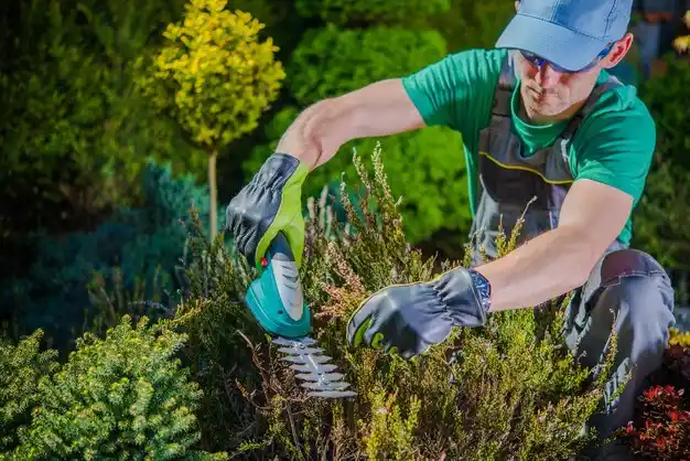landscaping services Blacklick Estates